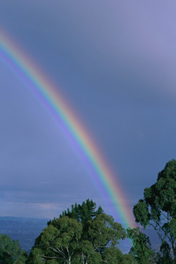 rainbow study abroad